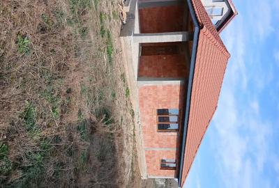 Casă cu 2 camere cu Teren 987 Mp în Peciu Nou - 6