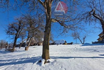 Teren intravilan de 10669 mp, în Moieciu de Jos - 2