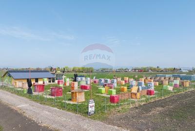 Teren Construcții intravilan de 13300 mp, în Bartolomeu - 10