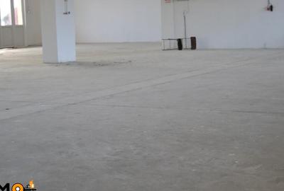 Hala 536mp Autorizata ISU - 5