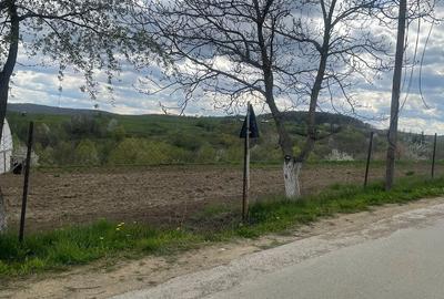 Casă cu Teren 5200 Mp în Pârteștii de Jos - 5