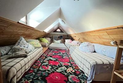 Casa de vancata Bucsoaia - 9