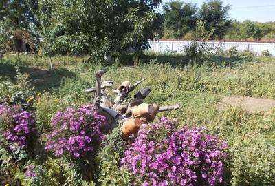 Casă individuală cu 5 camere cu Teren 1500 Mp în Dragalina (Cristinești) - 14