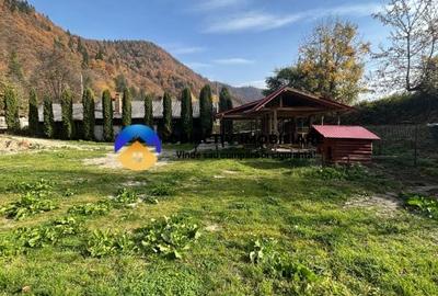 Vila-posibilitate pensiune Tarcau DN - 16