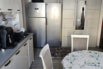 Apartament cu 2 camere în Rovinari - 10