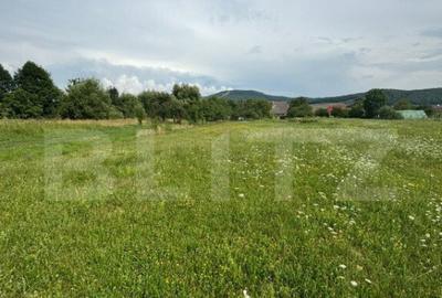 Teren Intravilan UNIREA 972mp - 4