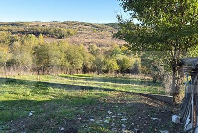 Teren intravilan, minim 2000 mp, front 20 ml , Fratostita, F - 1