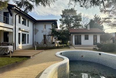 Grădină superbă, piscină și intimitate deplină - 1387 mp teren Grădină superbă, piscină și intimitate deplină - 1387 mp teren - 21