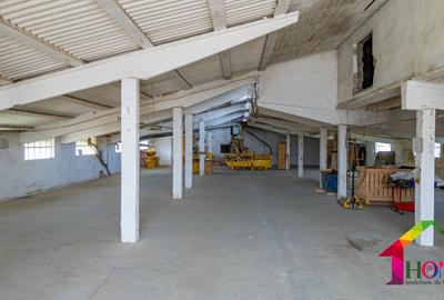 Teren 100.000 mp + Spatii Industriale Bacau - 12