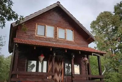 Vand teren si cabana Vand teren si cabana - 4