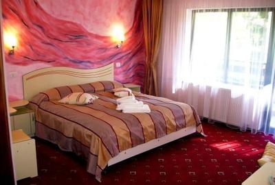 Casă individuală cu 19 camere cu Teren 557 Mp în Predeal - 9