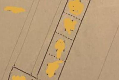 De vanzare terenuri extravilane in Sfantu Gheorghe - 2