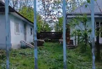 Casă cu 2 camere cu Teren 1500 Mp în Miorcani - 2