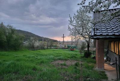 Spațiu comercial, de 200 mp, în Gioseni - 4