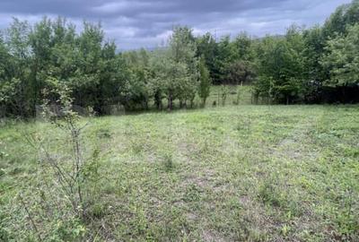 Teren extravilan 5200 mp Budacul de Jos- Investi?ie ex - 1