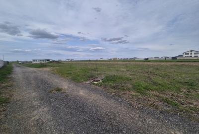 Teren Construcții intravilan de 1070 mp, în Dragomirești-Vale - 6