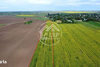 Teren de 15500 mp, în Dascălu - 3