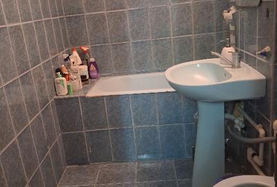 Apartament cu 3 camere decomandat în Debarcader - 7