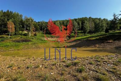 18000 mp de natura pura ,Lupeni, langa Straja - 15