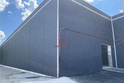 Depozit/hala/spa#539;iu industrial Jilava - Giurgiului, Ilf - 2