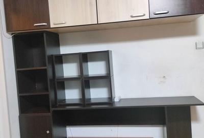 Apartament cu 2 camere semidecomandat în Teiul Doamnei - 8