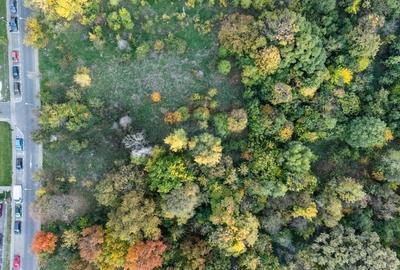 Vanzare Teren 1,800mp Vacaresti-Tinetretului Vanzare Teren 1,800mp Vacaresti-Tinetretului - 11