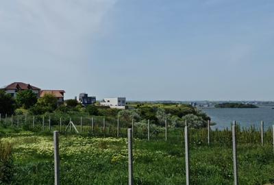 Teren Construcții intravilan de 670 mp, în Palazu Mare - 5
