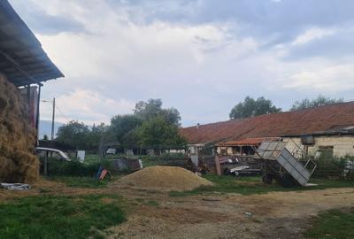 Casă cu 4 camere cu Teren 3000 Mp în Cârnești - 3