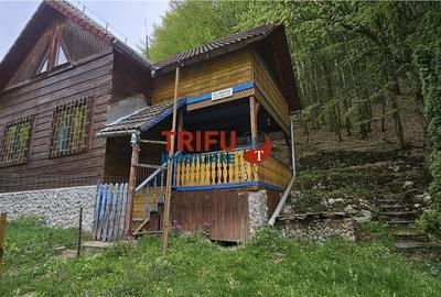 Casă cu 4 camere în Ighiel - 7