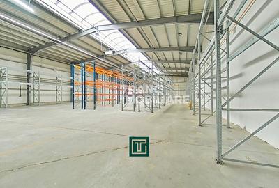 Spațiu industrial, în Sud - 1