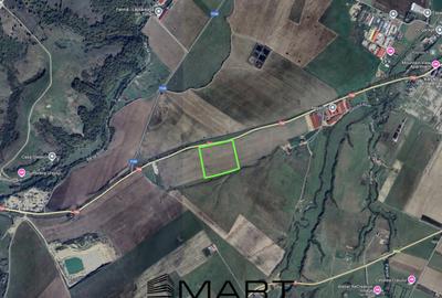 Teren 4,7ha, deschidere 200ml, Rasnov la DN73 - 2