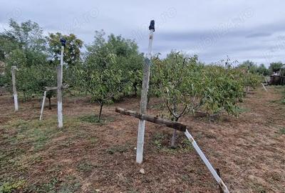 Casă cu 3 camere cu Teren 4284 Mp în Heliade Rădulescu - 2