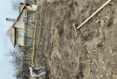 Casă cu 2 camere în Surdila-Greci - 1