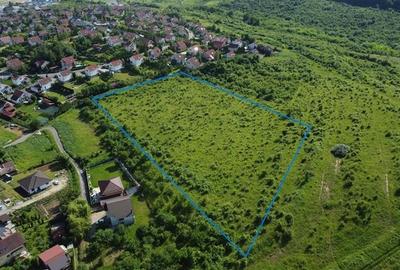 FILM! Teren pretios: 17.200 mp, recomandat investitional/dezvoltare,Livezeni, Mu - 5