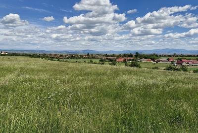 Teren de 14900 mp, în Crizbav - 7