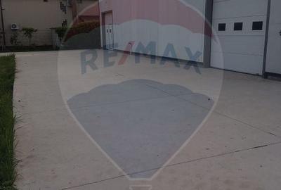 Spațiu industrial, de 160 mp, în Mirceștii Noi - 2