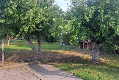 Casă cu 3 camere în Nădab - 5