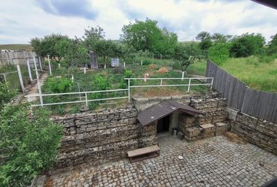 Casă cu 4 camere cu Teren 500 Mp în Bogonos - 2