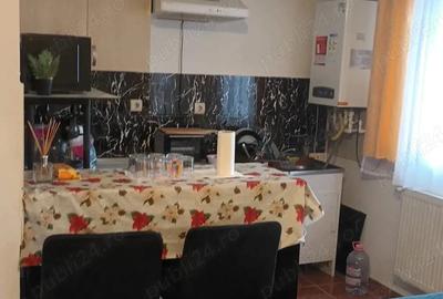 Garsonieră nedecomandată în Terezian - 4