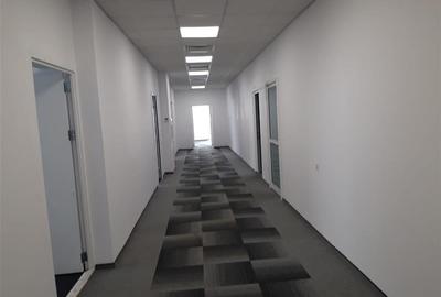 Spatiu pentru birou - 124 mp - ultimul spatiu disponibil - 8