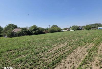 Teren de 860 mp, în Sinești - 3