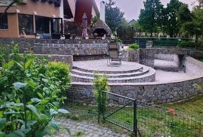 Casă cu 7 camere cu Piscina în Săftica - 1