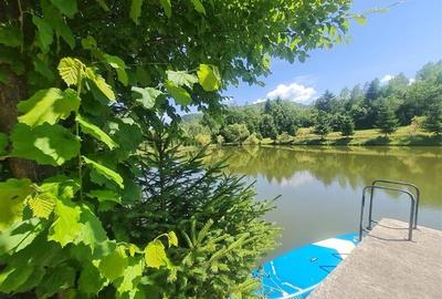 Refugiu idilic cu oglinda de apa, panorama montana, Glajerie/Rasnov, ideal mini - 17