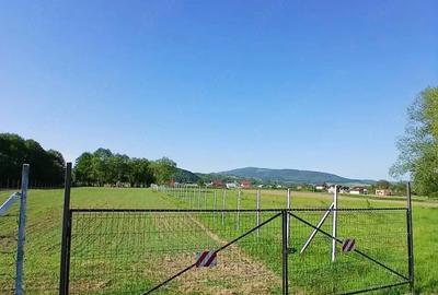 Teren de 4000 mp, în Central - 6