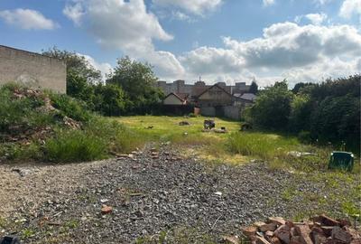 Spațiu comercial, în Dacia - 4