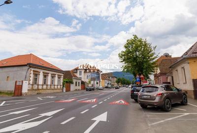 Chirie Cas? Singur în Curte | Str.Lung? - 4