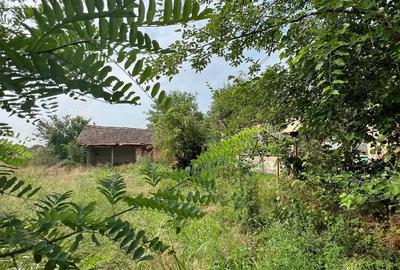 Teren de 2841 mp, în Denta - 2