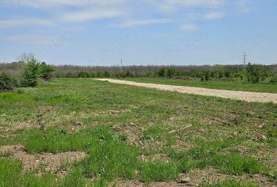 Teren de 490 mp, în Săbăreni - 6
