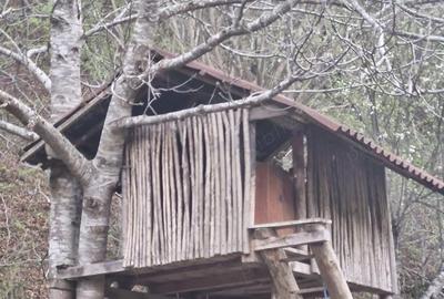 Casă în Ciungetu - 2