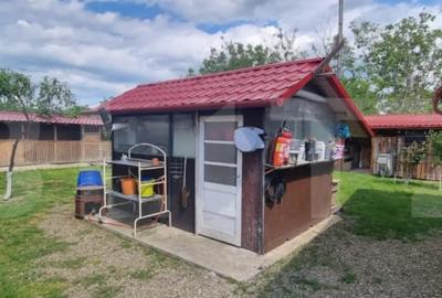 Casă cu 4 camere cu Teren 1800 Mp în Central - 15